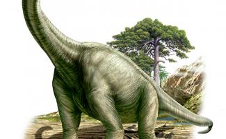 Ilustracion Braquiosaurio